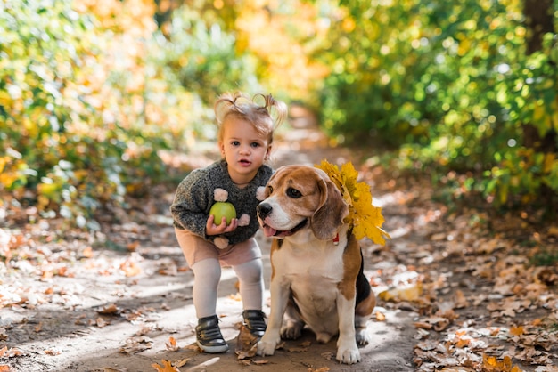 Ritratto di una piccola ragazza che tiene palla in piedi vicino cane beagle nella foresta