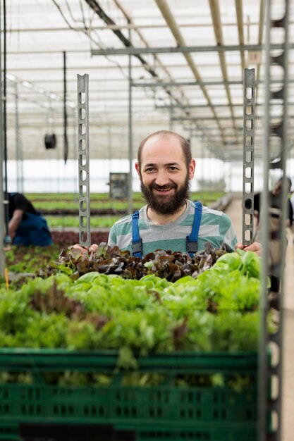 Ritratto di uomo sorridente che lavora in serra spingendo rack di casse con cibo verde biologico coltivato localmente da fonti sostenibili. Lavoratore caucasico che prepara la consegna delle verdure per le imprese locali.