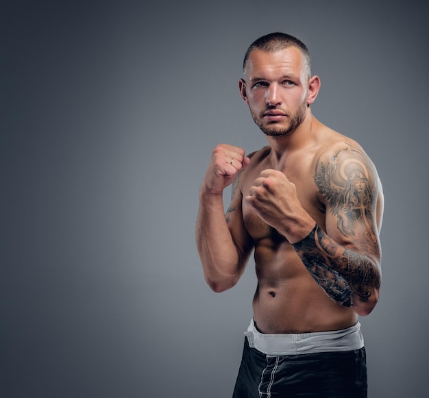 Ritratto in studio del combattente di boxe senza camicia isolato su sfondo grigio.