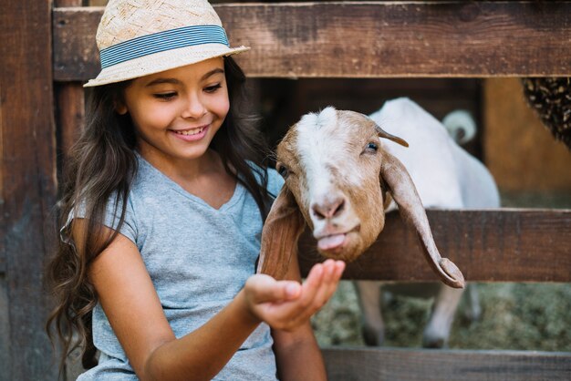 Ritratto sorridente di una ragazza che alimenta capra nel granaio