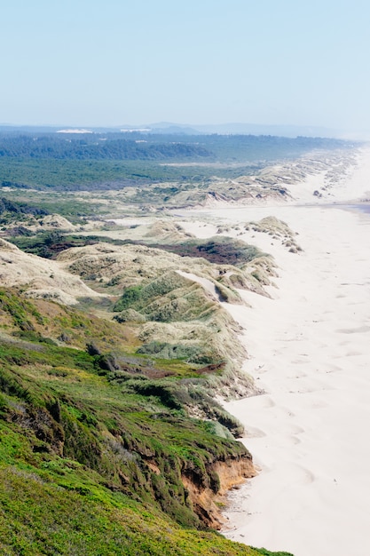riva dell'area ricreativa nazionale delle dune dell'Oregon