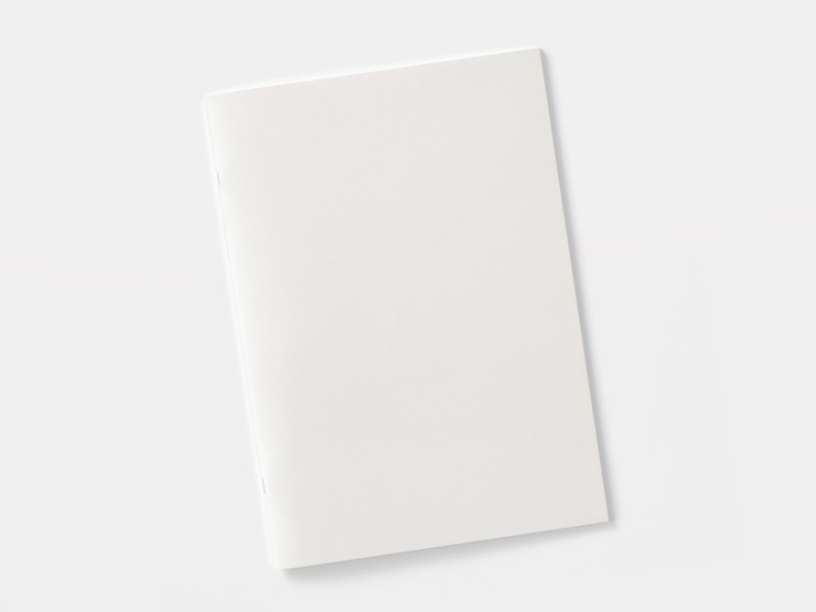 Rivista o opuscolo in bianco isolato su bianco.