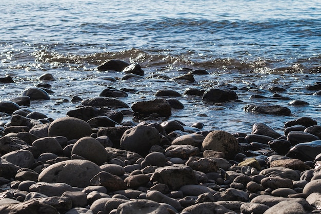 Rocce del primo piano sulla spiaggia selvaggia