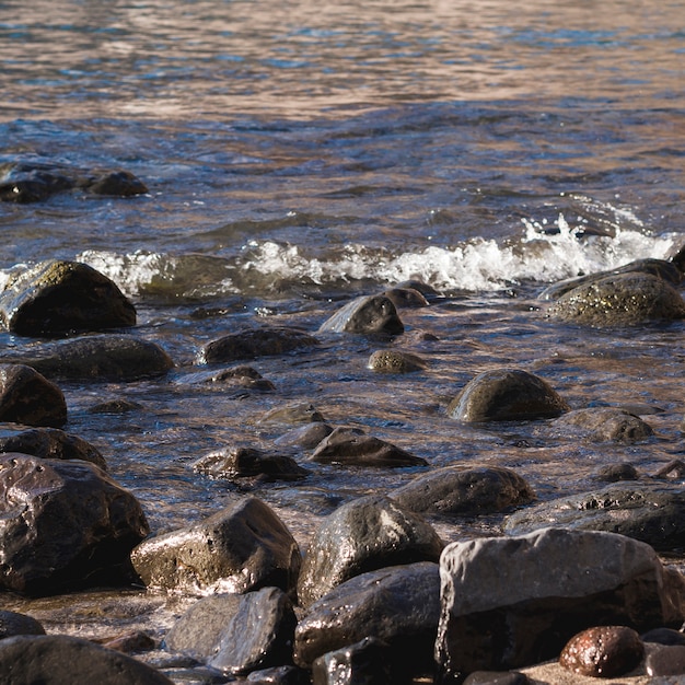 Rocce del primo piano sulla spiaggia selvaggia