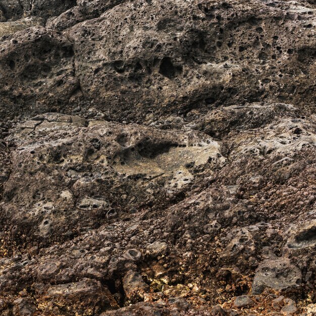 Rocce di primo piano erose dal mare