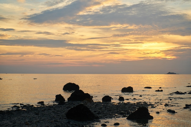 rocce onda litorale giorno di sabbia