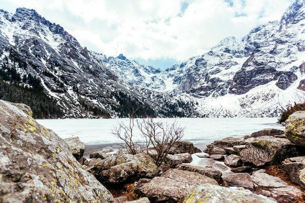 Roccia vicino al lago e montagna in estate