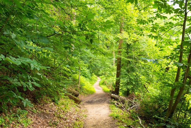 Rock Creek Park