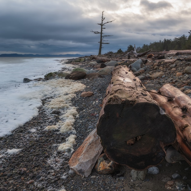 Rocky Shore Under Cloudy Sky