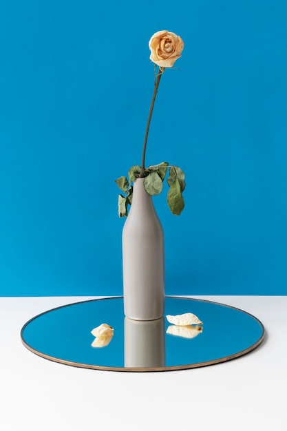 Rosa bianca essiccata in un vaso su un vassoio rotondo lucido