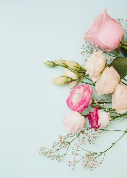 Rosa; eustoma e fiori del respiro del bambino su sfondo blu