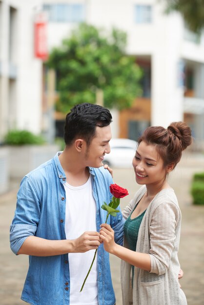 Rosa rossa per appuntamento romantico