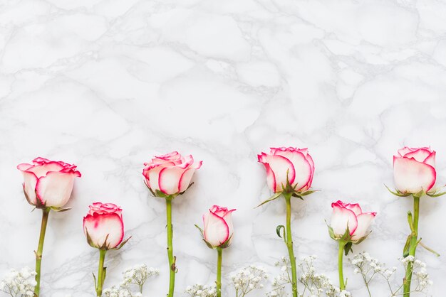 Rose colorate decorative su uno sfondo
