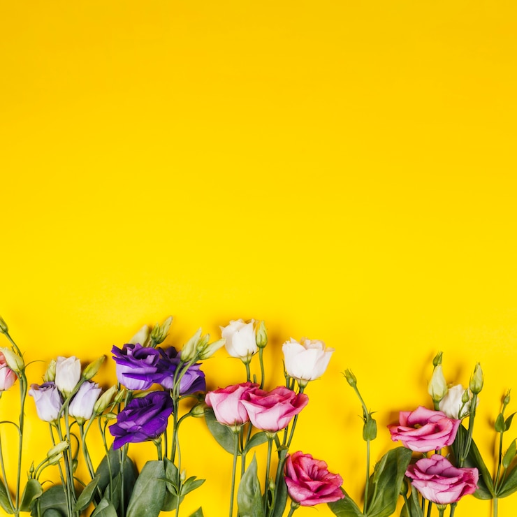 Foto gratuito rose decorative colorate