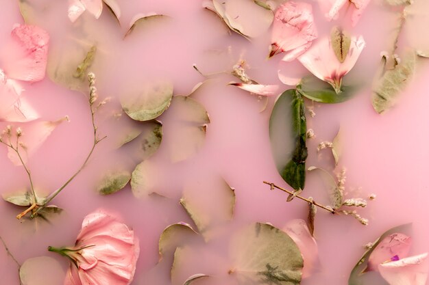 Rose e foglie rosa in acqua colorata rosa