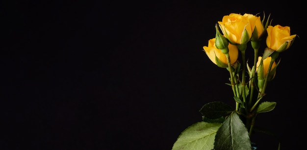 Rose gialle in vaso con copia-spazio