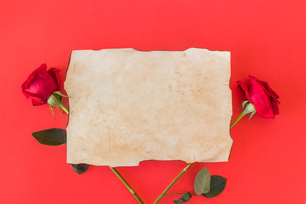 Rose meravigliose di carta e fresche