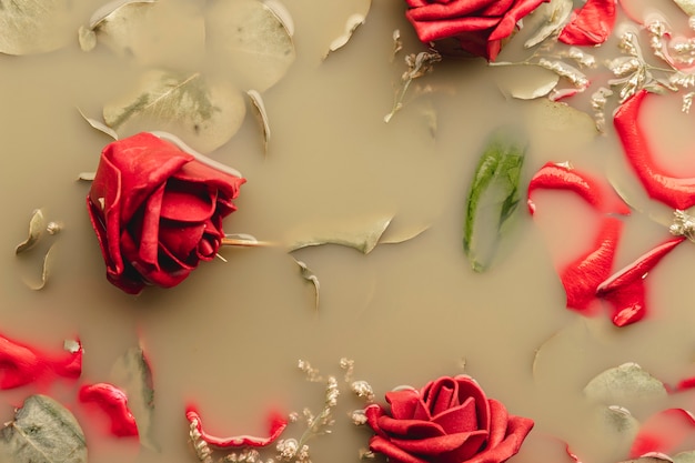 Rose rosse e petali in acqua marrone