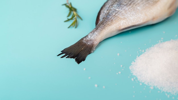 Rosmarino di spirito della coda del pesce fresco del primo piano