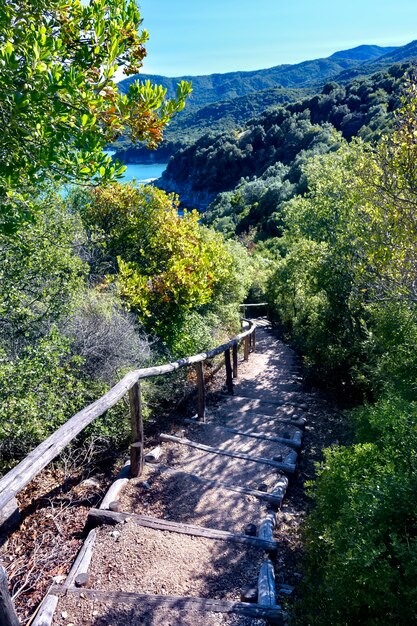 Rovine dell'antica città di stageira in Halkidiki Grecia