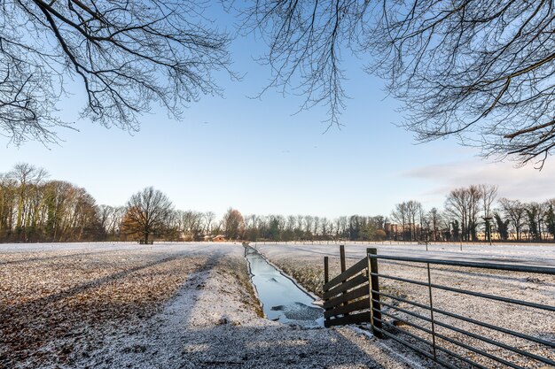 Ruscello d'acqua stretto nel mezzo di un campo vuoto coperto di neve