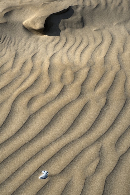 Sabbie marroni nel deserto