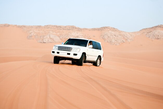 Safari nel deserto