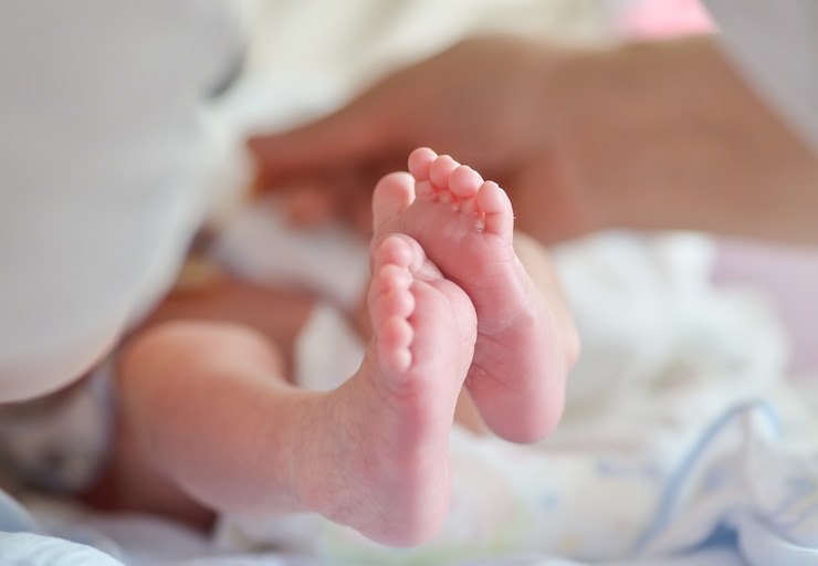 Foto gratuito salute della palma della famiglia infantile della madre
