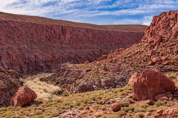 San Pedro de Atacama Cile