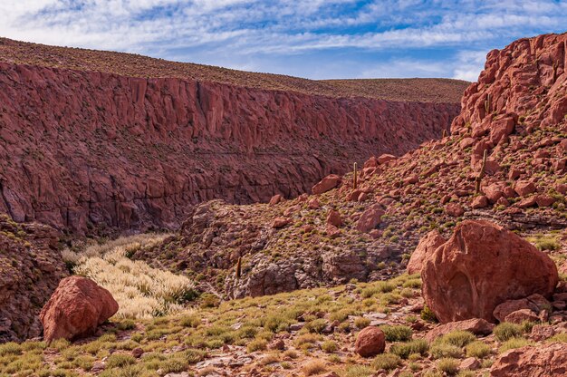 San Pedro de Atacama Cile