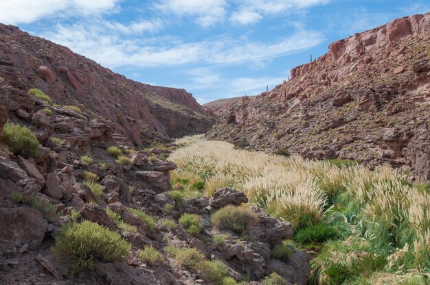 San Pedro de Atacama Cile