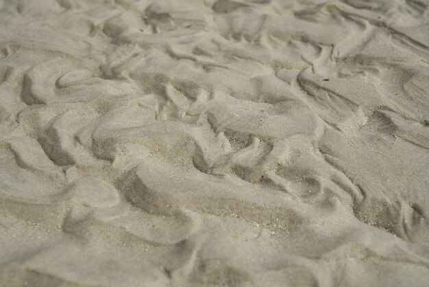 Sandy tessitura spiaggia