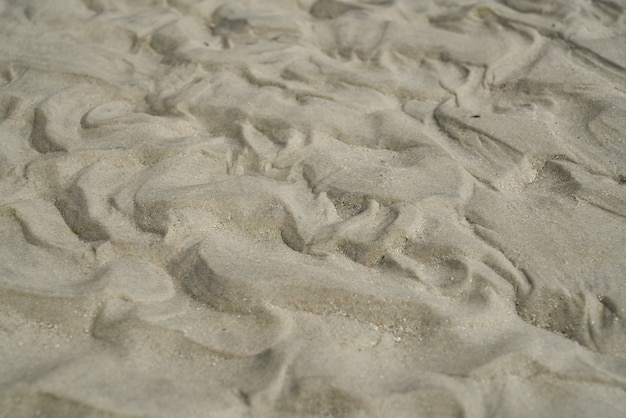 Sandy tessitura spiaggia