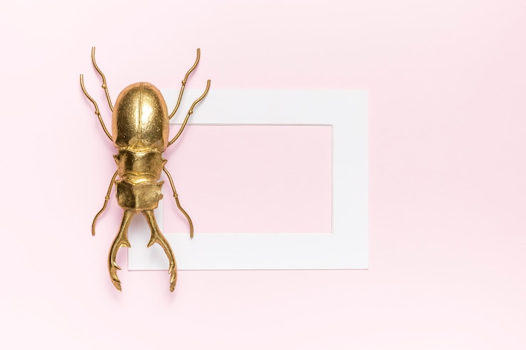 Foto gratuito scarabeo e cornice