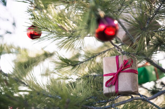 Scatole attuali e palle di Natale nell&#39;albero