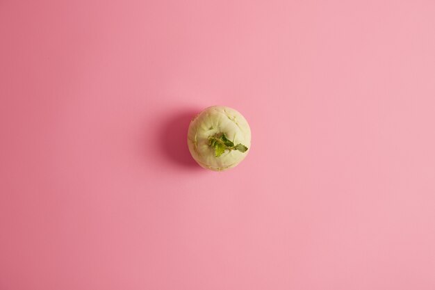 Scatto dall'alto di ravanello bianco maturo raccolto dal giardino, isolato su sfondo rosa. Verdure popolari con benefici salutari, sicure da mangiare, a basso contenuto di calorie. Agricoltura, concetto di nutrizione
