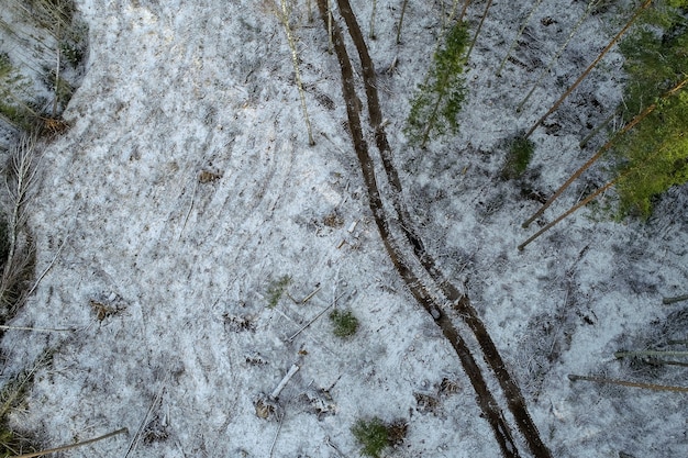 Scatto dall'alto di una foresta piena di alberi verdi coperti di neve