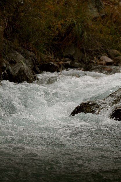 Scatto di un bellissimo fiume che scorre durante la primavera - ottimo per gli sfondi