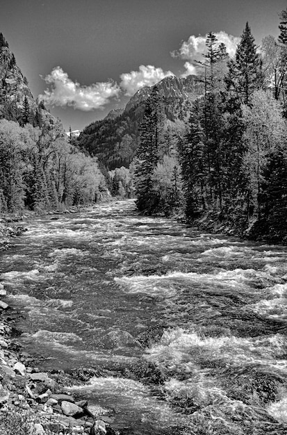 Scatto in scala di grigi di un fiume circondato da montagne e molti alberi sotto un cielo nuvoloso