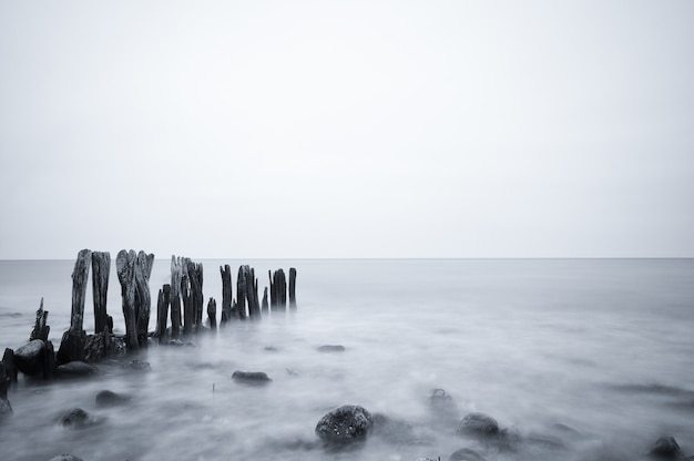 Scatto in scala di grigi di una bellissima vista sul mare sotto un cielo nuvoloso a Ostsee, Germania