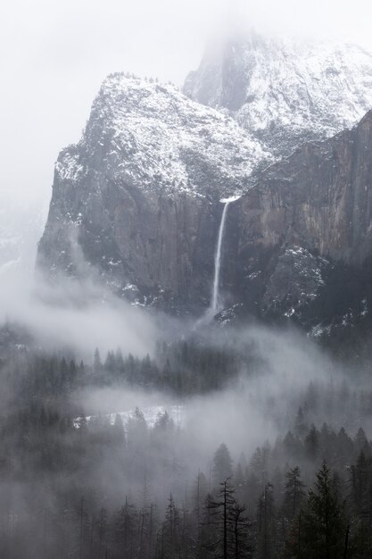 Scatto in scala di grigi di una cascata nel parco nazionale di Yosemite in California