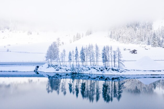 Scatto ipnotizzante di un lago con alberi innevati che si riflettono nell'acqua blu e pulita