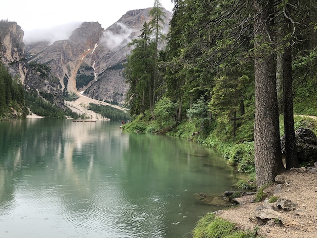 Scatto magico delle montagne dolomitiche, Parco Nazionale Fanes-Sennes-Braies, Italia durante l'estate