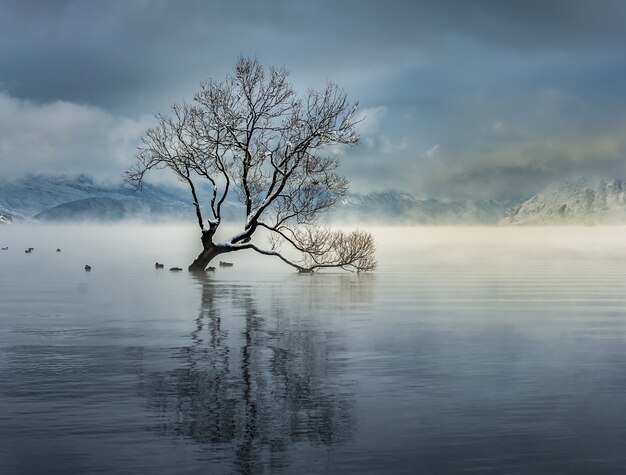 Scatto mozzafiato del lago Wanaka nel villaggio di Wanaka, Nuova Zelanda