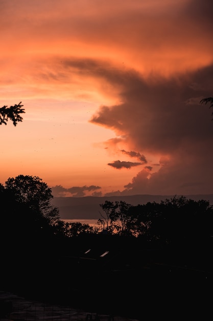 Scatto mozzafiato di un tramonto arancione con sagome di alberi