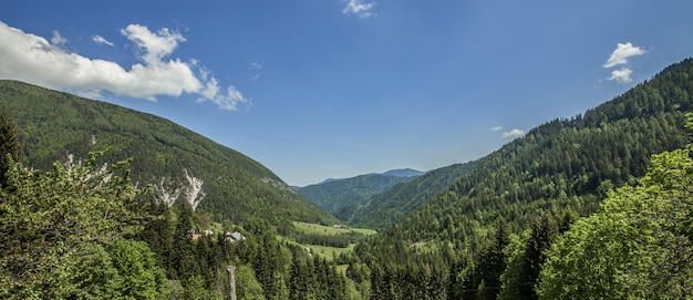 Scatto panoramico di un bellissimo paesaggio della regione della Charinthia in Slovenia in estate