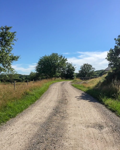 Scatto verticale di una strada sterrata in mezzo a campi erbosi e alberi in Svezia