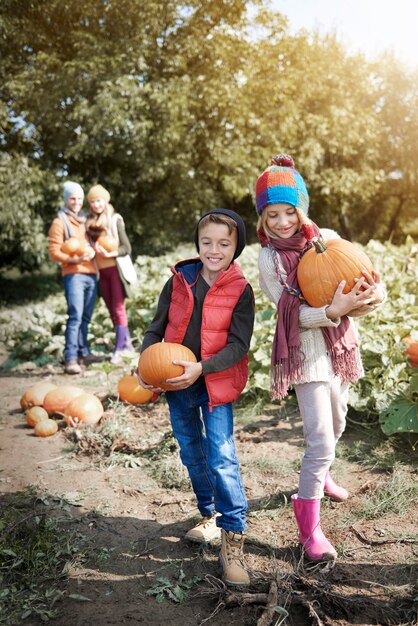 Scegliere la zucca perfetta per Halloween