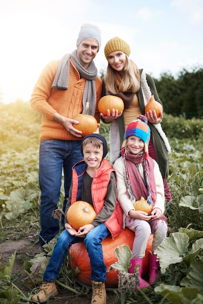 Scegliere la zucca perfetta per Halloween