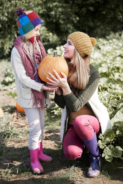 Scegliere la zucca perfetta per Halloween